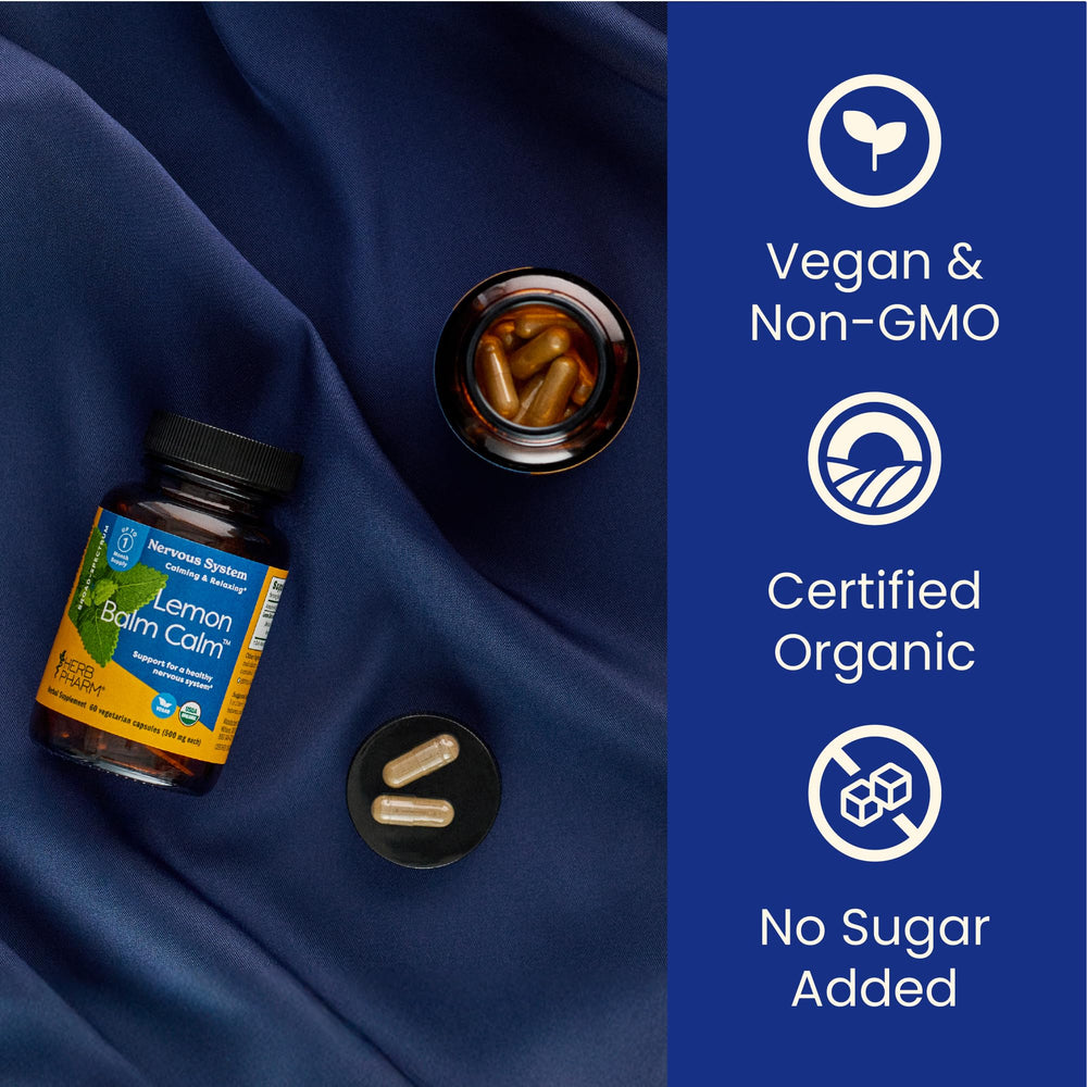 Lifestyle shot showing a capsule with tea for evening unwind.