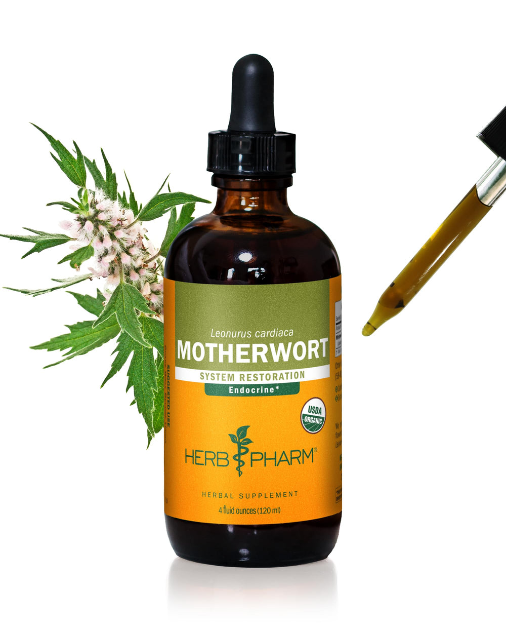 Herb Pharm Motherwort liquid bottle for easy daily endocrine support.