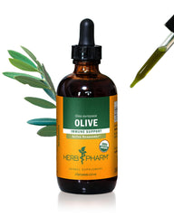 Herb Pharm Olive Leaf Liquid Extract bottle for convenient immune support.