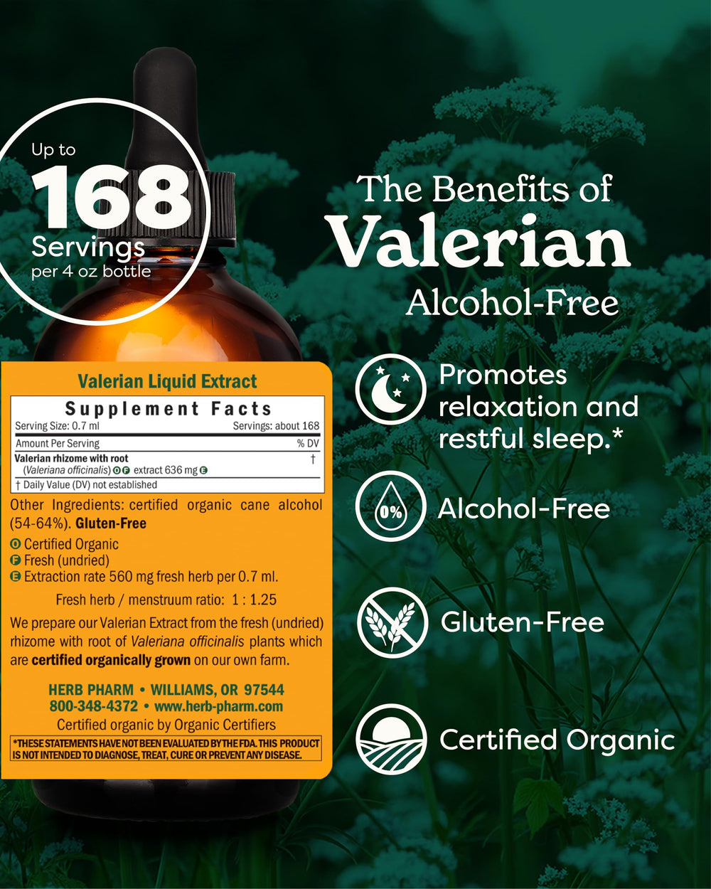 Herb Pharm Valerian Root Liquid Extract dropper releasing tincture into water for easy ingestion.
