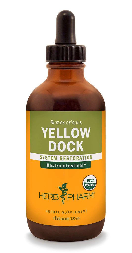 Herb Pharm Yellow Dock liquid extract bottle for gentle digestive support and easy daily use.