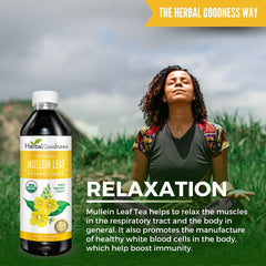 Herbal Goodness Mullein Drops bottle in hand shows portable, on-the-go use.