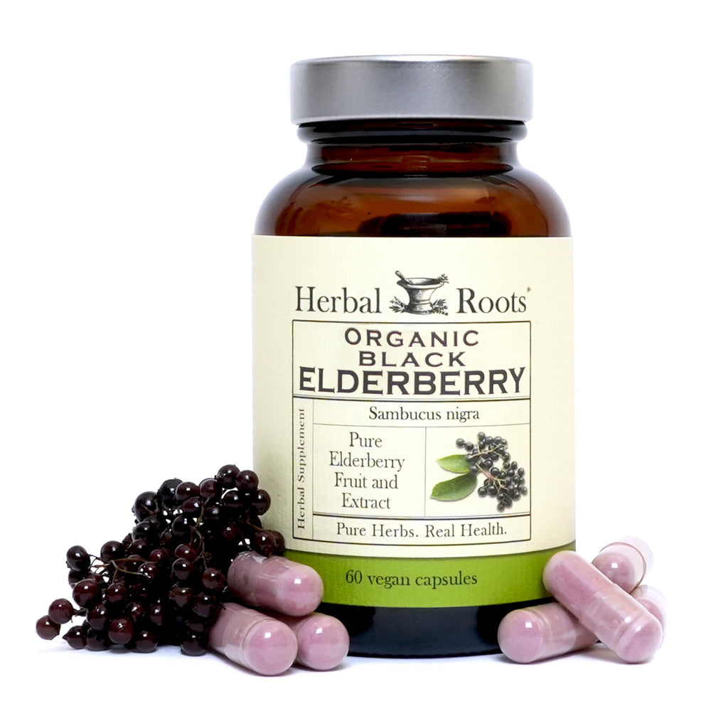 Herbal Roots Black Elderberry capsules bottle showing immune-support potential.