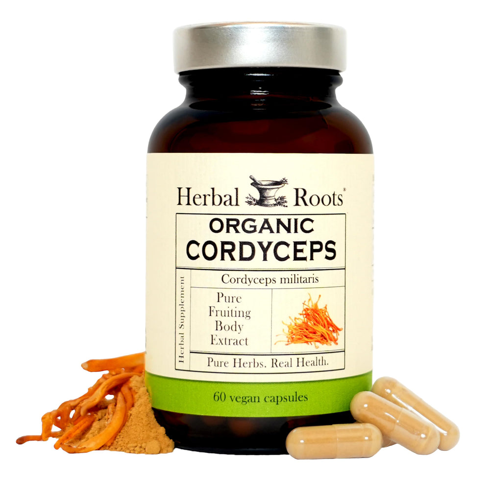 Herbal Roots Cordyceps bottle front suggesting potential immune support