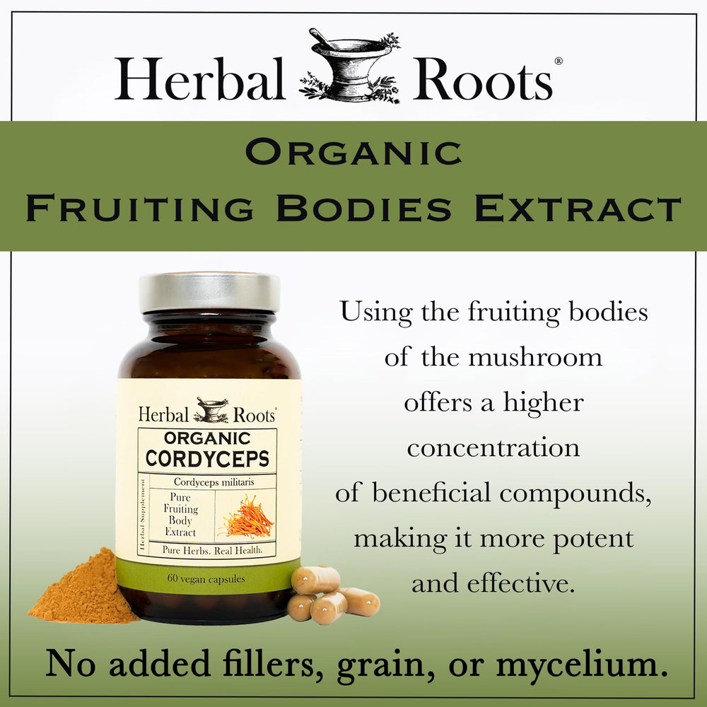 Herbal Roots Cordyceps packaging box with certifications and usage suggestions
