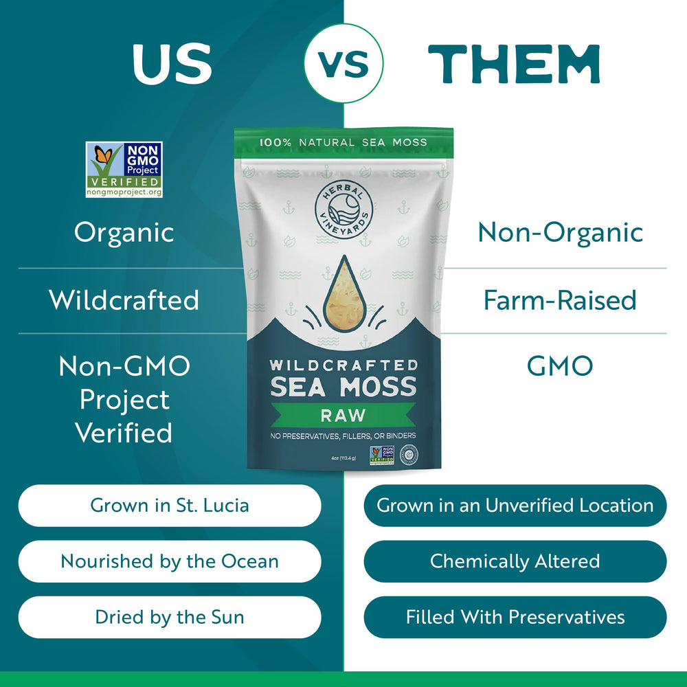 Herbal Vineyards Gold Sea Moss in salad bowl, plant-based boost