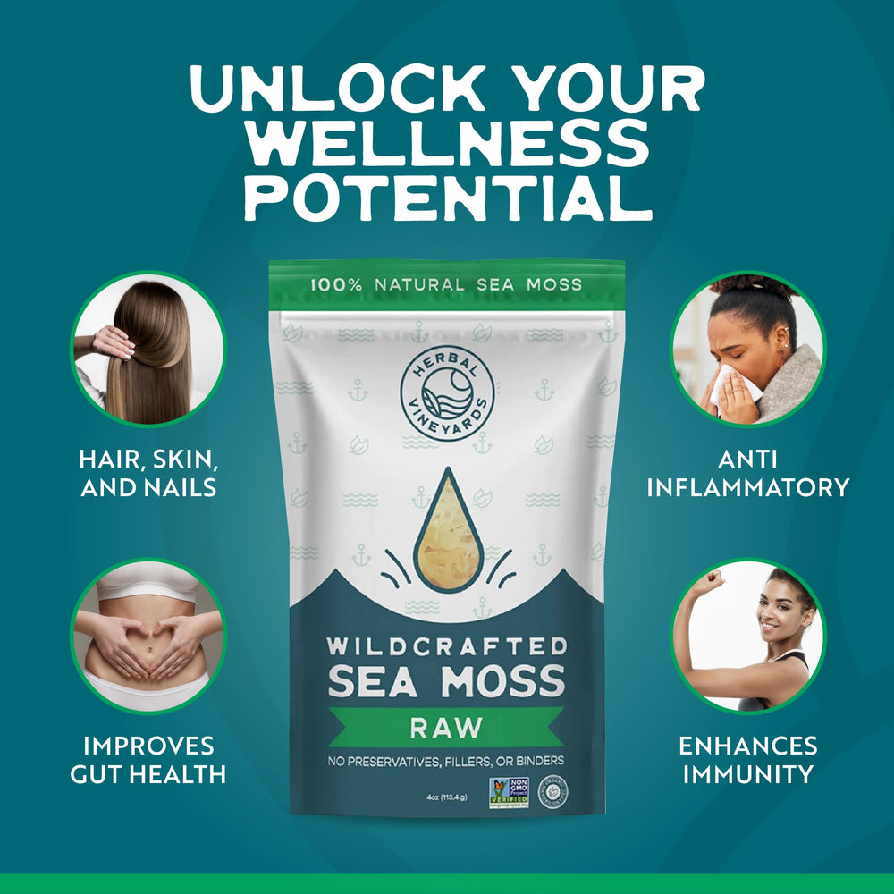 Herbal Vineyards Gold Sea Moss soak bowl, ideal for gel prep