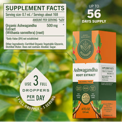 HERBAMAMA Ashwagandha Drops glass bottle showing rich tincture color for fast calm.