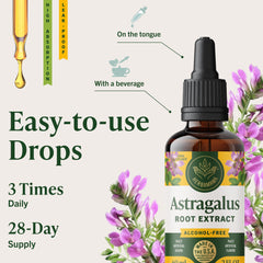 HERBAMAMA Astragalus Drops daily-use setup with glass of water