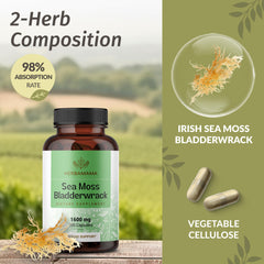 Herbamama bladderwrack powder with spoon shows convenient prep.