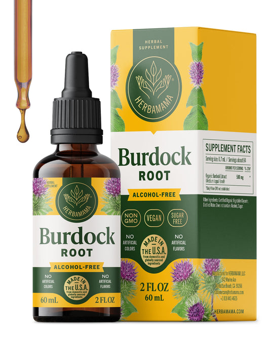 HERBAMAMA Burdock Root Tincture bottle shown for vegan, non-GMO support.