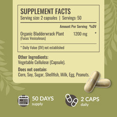 HERBAMAMA capsules poured into a glass to illustrate easy daily intake
