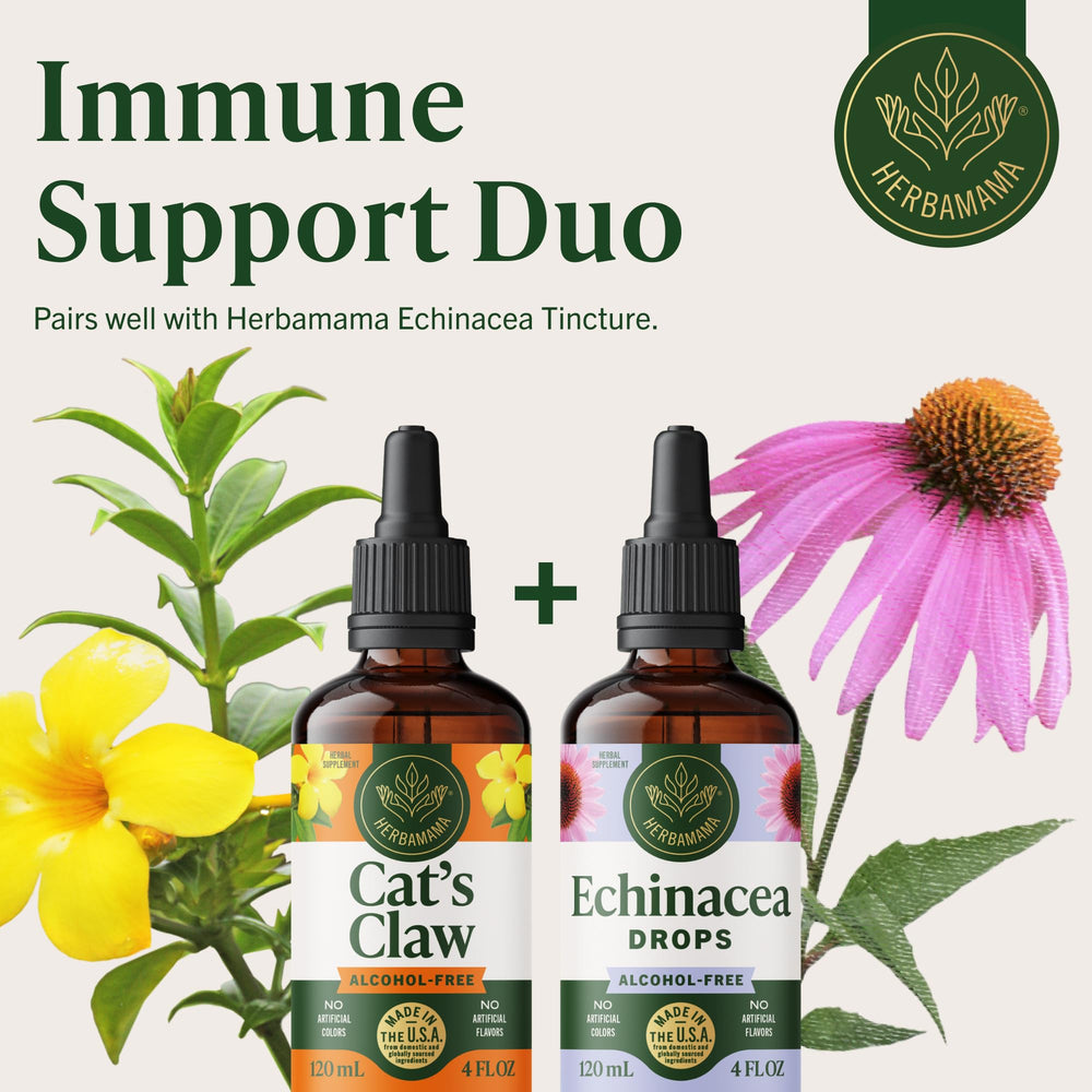 Herbamama Cats Claw tincture amber bottle protects the liquid