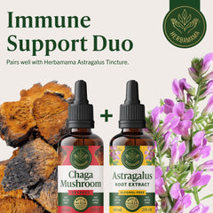 Chaga tincture paired with water for convenient use on the go.