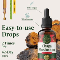 Vegan, alcohol-free Chaga tincture used in daily wellness routine.