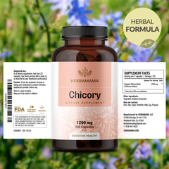 HERBAMAMA Chicory Root Capsules on the go for travel meals