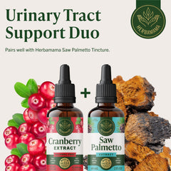 HERBAMAMA Cranberry Drops drops on tongue for quick use.