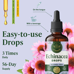HERBAMAMA Echinacea tincture close-up shows three-ingredient formula.