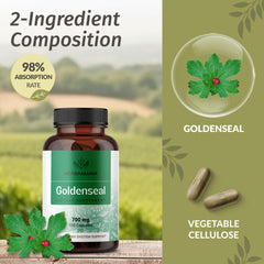 Goldenseal root powder visible with natural antioxidants emphasis