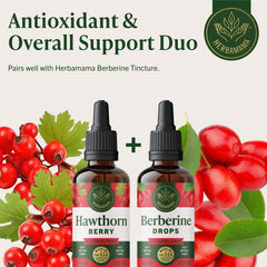 HERBAMAMA Hawthorn Berry Drops packaging and bottle on counter