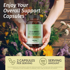 HERBAMAMA Irish Sea Moss capsules packaging highlighting vegan, non-GMO formula.