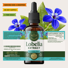 HERBAMAMA Lobelia tincture provides a 28-day supply for routine use.