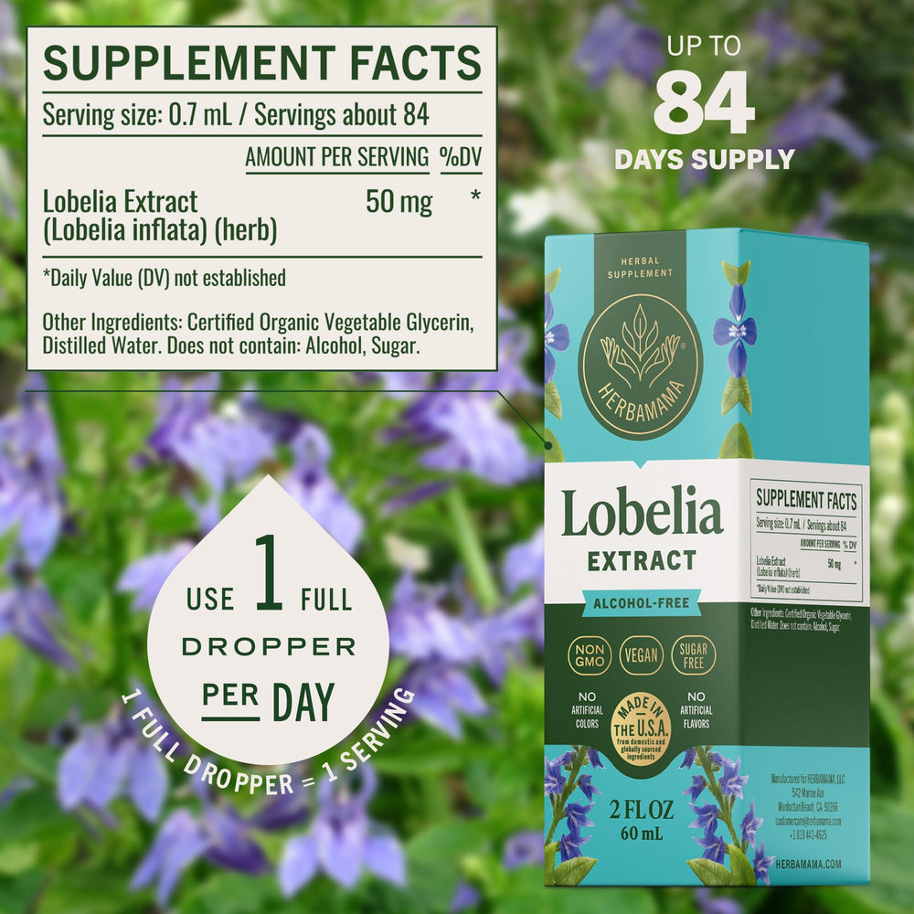 HERBAMAMA Lobelia tincture served in water for convenient daily lung support.