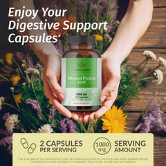 HERBAMAMA Mimosa Pudica Capsule packaging on shelf signaling vegan, non-GMO formula.