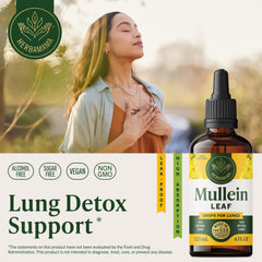 Close-up of dropper releasing HERBAMAMA Mullein Drops for daily lung support.