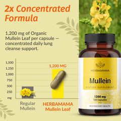 Vegetarian capsule form shown emphasizing clean plant based formula