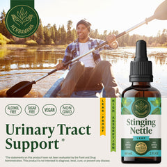 Herbamama Stinging Nettle tincture dropper in use showing quick absorption