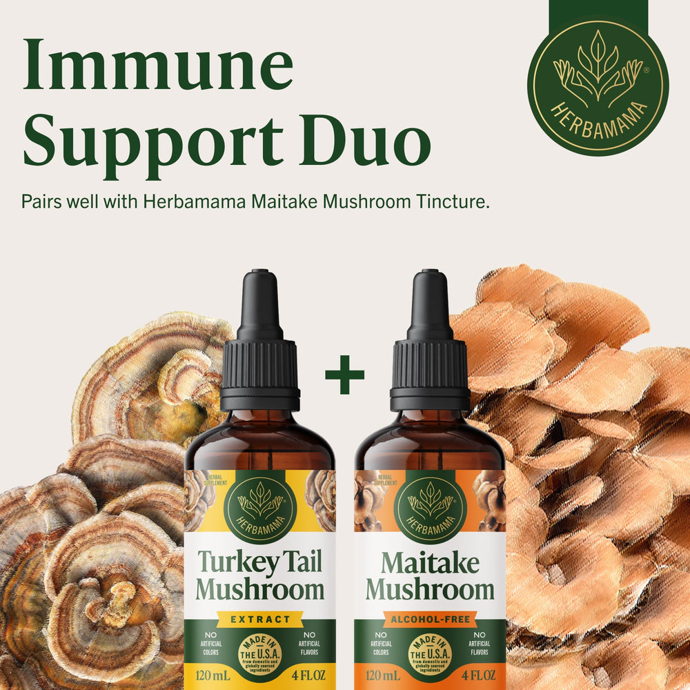 Vibrant tincture color hints at antioxidant-rich turkey tail extract.