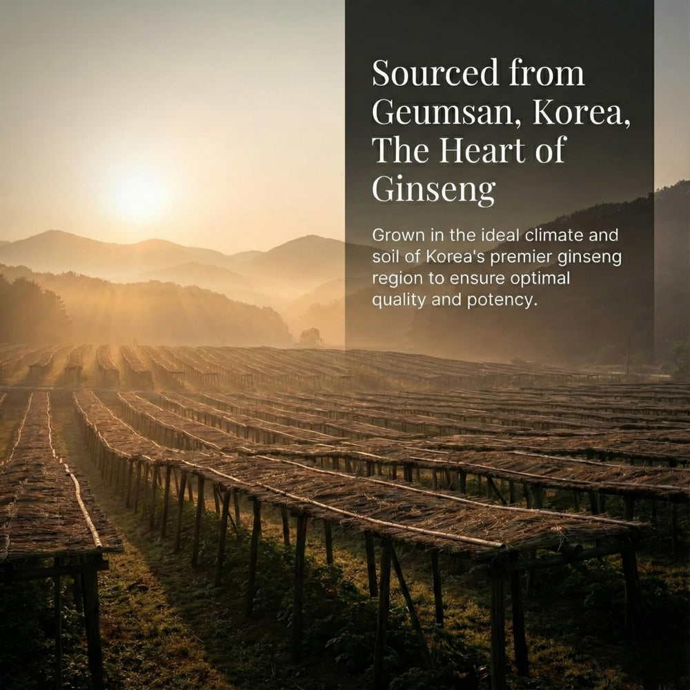 HERBEAT Korean Red Ginseng Prime Geumsan origin emphasizes quality promise