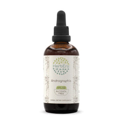 HerbEra Andrographis B120 tincture bottle front for daily herbal routines.