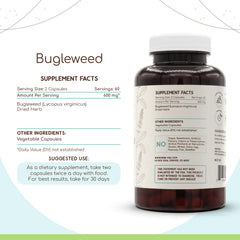 HerbEra Bugleweed capsules close-up emphasizing easy-to-swallow design