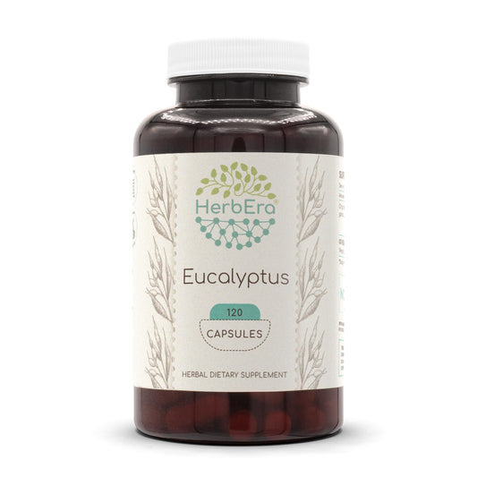 HerbEra eucalyptus capsules bottle front with 400 mg serving