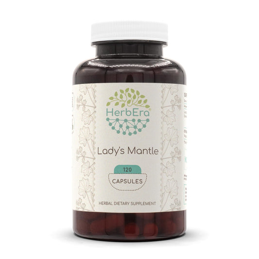 HerbEra Lady's Mantle bottle front view for convenient daily capsules.