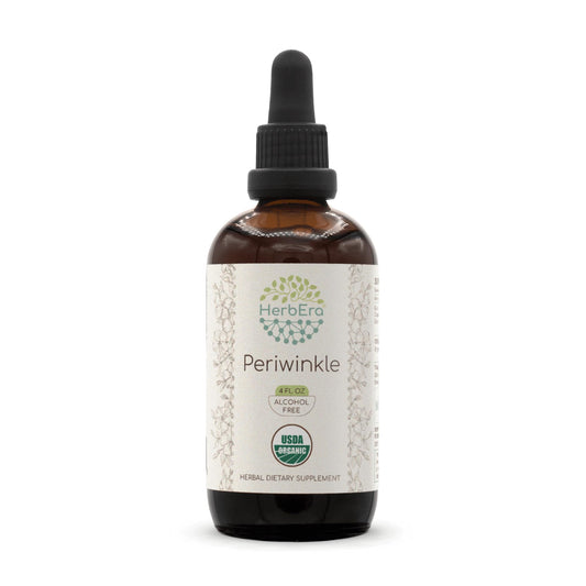 HerbEra Periwinkle B120 tincture bottle for easy daily drops in water