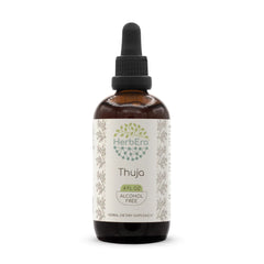HerbEra Thuja B120 bottle shows alcohol-free tincture for easy daily use.