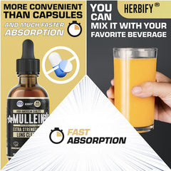 HERBIFY Mullein Drops used in a daily respiratory wellness ritual