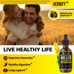 Herbify Mullein Drops glass tincture reveals a rich herbal liquid for potential comfort.
