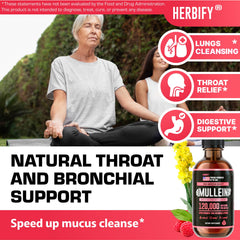 Herbify Mullein Drops packaging displays Made in USA quality.