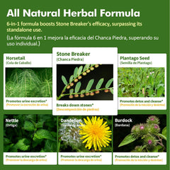 Herbmood Nettle bottle pour emphasizing urinary health and bladder support.
