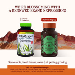 ChlorOxygen softgels on a tray highlight gluten-free formula for mindful health routines.