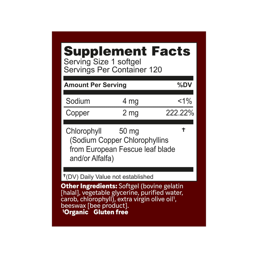 Lifestyle shot suggesting blood circulation and energy support with ChlorOxygen.