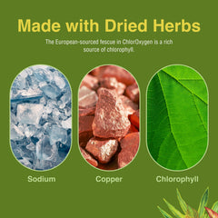 Herbs Etc. ChlorOxygen packaging highlights alcohol-free formulation.