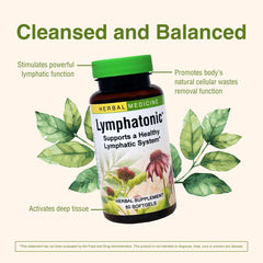 Herbs Etc. Lymphatonic bottle back reveals dosage instructions
