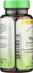 Herbs Etc. Phytocillin bottle on kitchen counter with a glass of water.