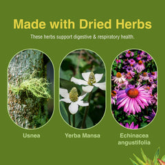 Herbs Etc. Phytocillin packaging box details