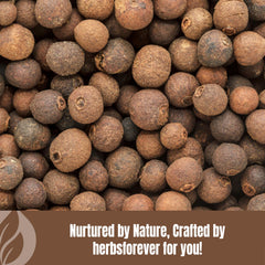Close-up of Embelia Ribes fruit reflects traditional heritage behind the powder
